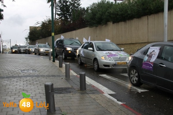 qafela sayarat haiywa (20).JPG